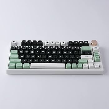 Amazon.com: Hyekit SA Keycaps, 173 Keys Doubleshot ABS